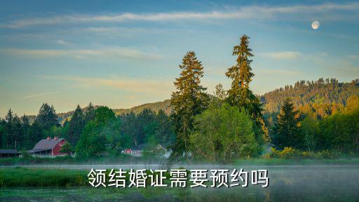領結婚證需要預約嗎