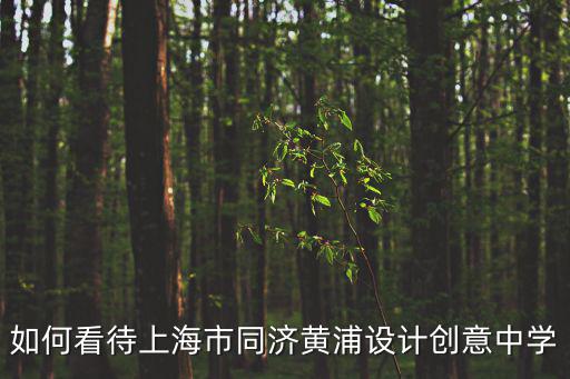 上海同濟大學官網，如何看待上海市同濟黃浦設計創意中學