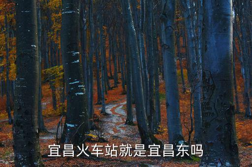 宜昌火車站就是宜昌東嗎