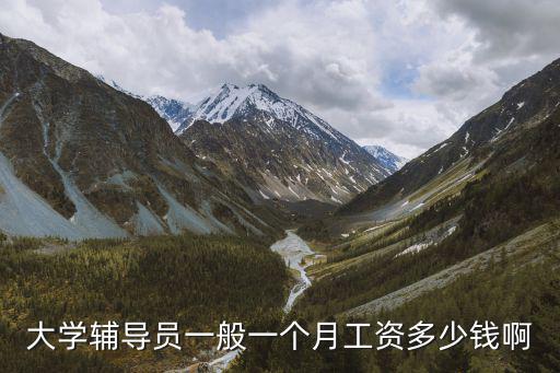 大學(xué)輔導(dǎo)員一般一個月工資多少錢啊