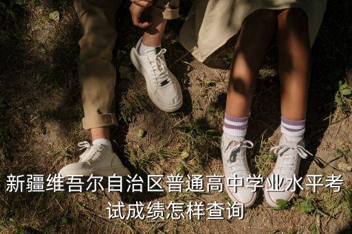 新疆維吾爾自治區普通高中學業水平考試成績怎樣查詢