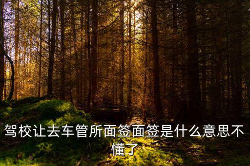 駕管所，車檢所是干什么的