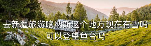 去新疆旅游喀納斯這個地方現在有雪嗎可以登望魚臺嗎