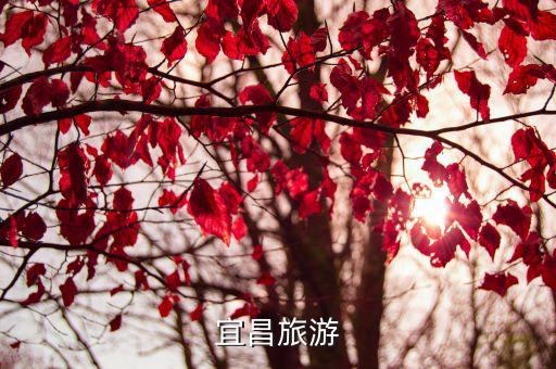 宜昌旅游