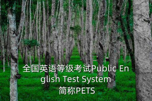 全國英語等級考試Public English Test System 簡稱PETS