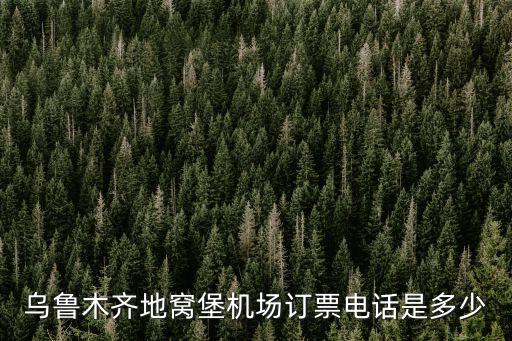 烏魯木齊地窩堡機場訂票電話是多少