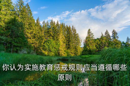 中小學(xué)教育懲戒規(guī)則，中小學(xué)教師違反職業(yè)道德行為的解除按照什么法施行