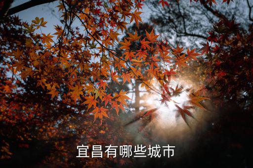 湖北宜昌市，宜昌有哪些城市