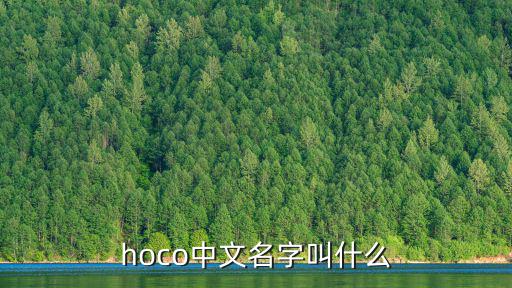 hoco，hoco中文名字叫什么
