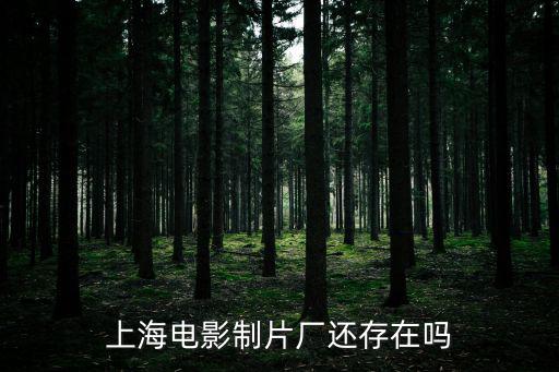 上海電影制片廠還存在嗎