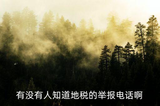 有沒有人知道地稅的舉報電話啊