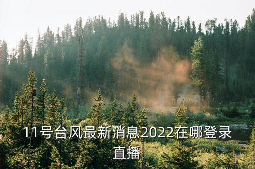 11號臺風最新消息2022在哪登錄直播