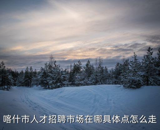 喀什市人才招聘市場在哪具體點怎么走