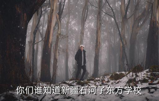 你們誰知道新疆石河子東方學校