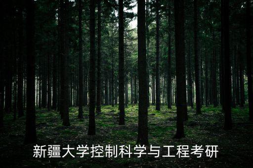 新疆大學(xué)控制科學(xué)與工程考研