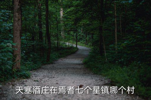 天塞酒莊在焉耆七個星鎮哪個村