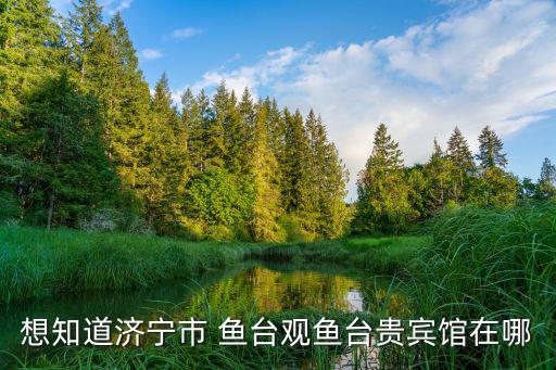 觀魚臺，觀魚臺有多少個(gè)臺階