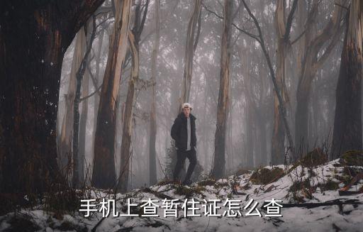 手機上查暫住證怎么查