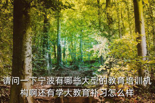 請問一下寧波有哪些大型的教育培訓機構啊還有學大教育補習怎么樣