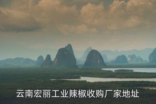 云南宏麗工業辣椒收購廠家地址