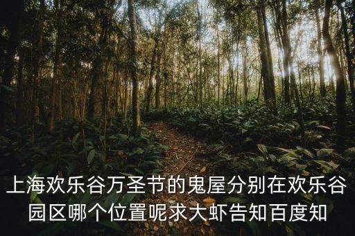 上海歡樂谷萬圣節的鬼屋分別在歡樂谷園區哪個位置呢求大蝦告知百度知