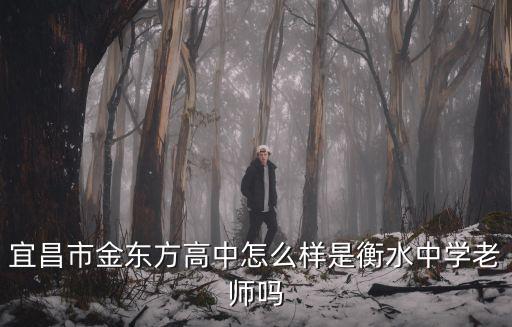 宜昌金東方，宜昌金東方高中部怎么樣 師資強嗎