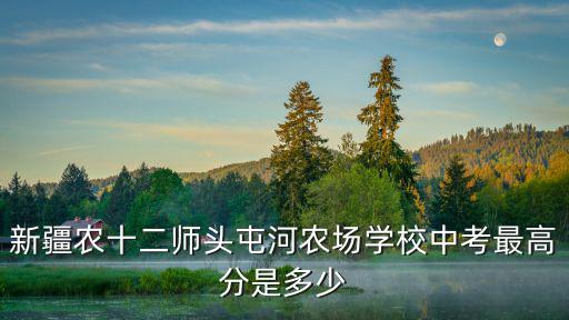 新疆農十二師頭屯河農場學校中考最高分是多少