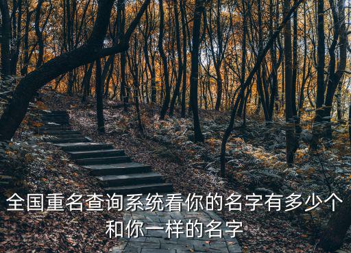 全國(guó)重名查詢系統(tǒng)看你的名字有多少個(gè)和你一樣的名字