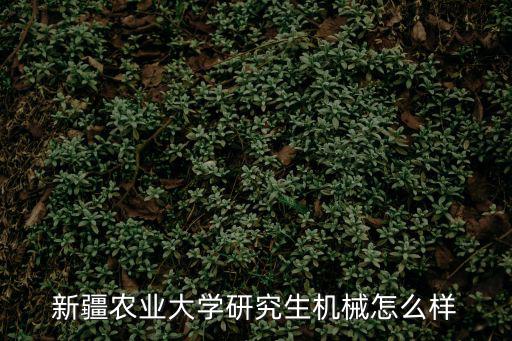 新疆農業大學研究生機械怎么樣