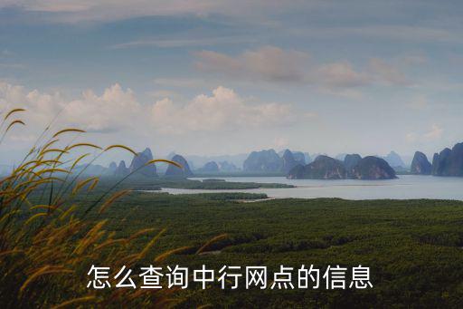 銀行網點查詢，在哪能查中行的網點信息