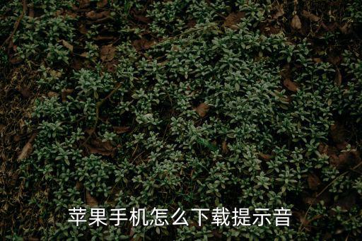 蘋果提示音下載，蘋果的手機鈴聲如何下載