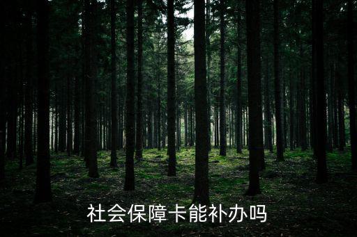 社保卡可以補辦嗎，社保卡可以補辦嗎