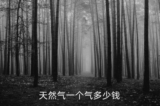 天然氣一方多少錢，天然氣一個(gè)氣多少錢