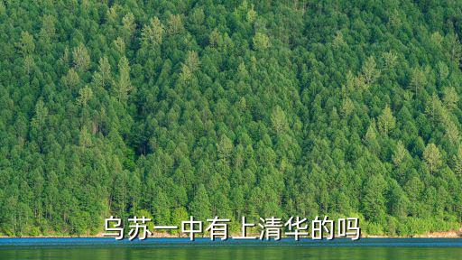 烏蘇一中有上清華的嗎