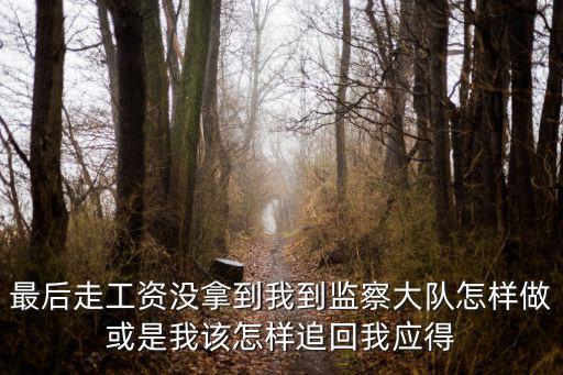 最后走工資沒拿到我到監(jiān)察大隊怎樣做或是我該怎樣追回我應(yīng)得