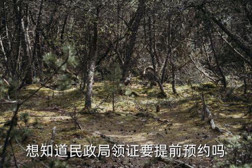想知道民政局領證要提前預約嗎