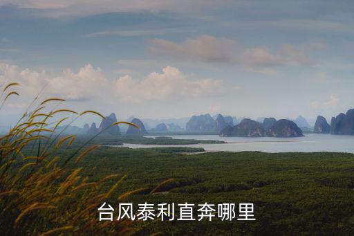 臺風泰利，三亞 泰利臺風什么時候結束