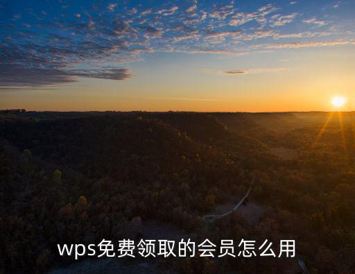 wps免費領取的會員怎么用