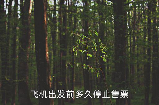 飛機出發前多久停止售票