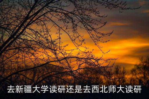 去新疆大學(xué)讀研還是去西北師大讀研
