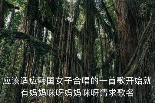 媽媽咪呀韓國，韓國綜藝節目媽媽咪呀是什么時候開播的