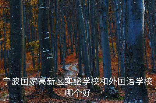 寧波國家高新區實驗學校和外國語學校哪個好