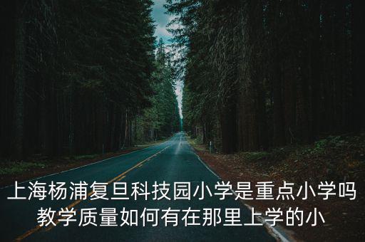 上海楊浦復旦科技園小學是重點小學嗎教學質量如何有在那里上學的小