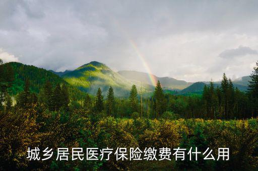 城鄉(xiāng)居民醫(yī)療保險(xiǎn)繳費(fèi)有什么用