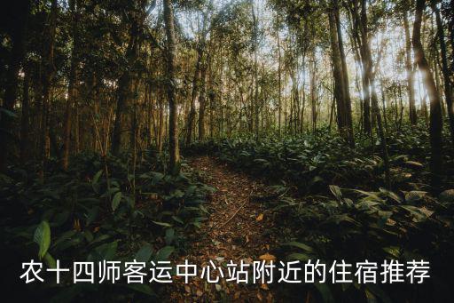 農(nóng)十四師客運中心站附近的住宿推薦