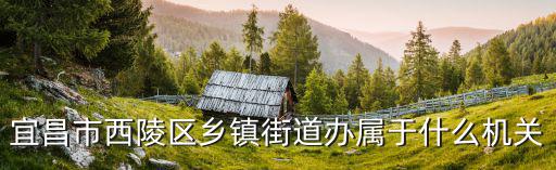 宜昌市西陵區鄉鎮街道辦屬于什么機關