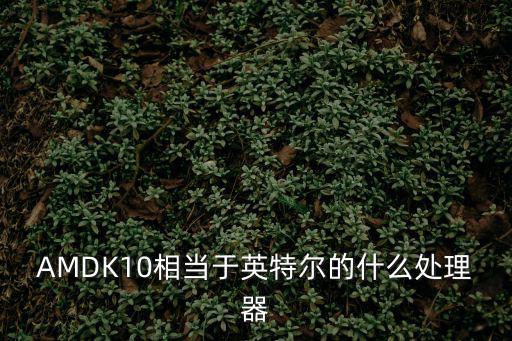AMDK10相當于英特爾的什么處理器