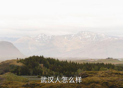 武漢人怎么樣