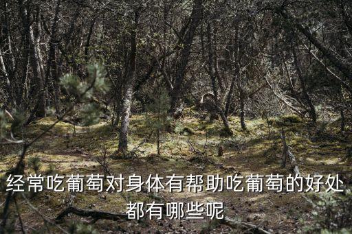 經常吃葡萄對身體有幫助吃葡萄的好處都有哪些呢