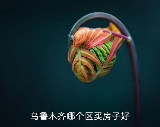 烏魯木齊哪個區(qū)買房子好